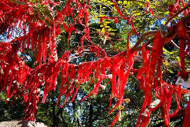 《速度与激情：间谍赛车手》发售 上市宣传片欣赏